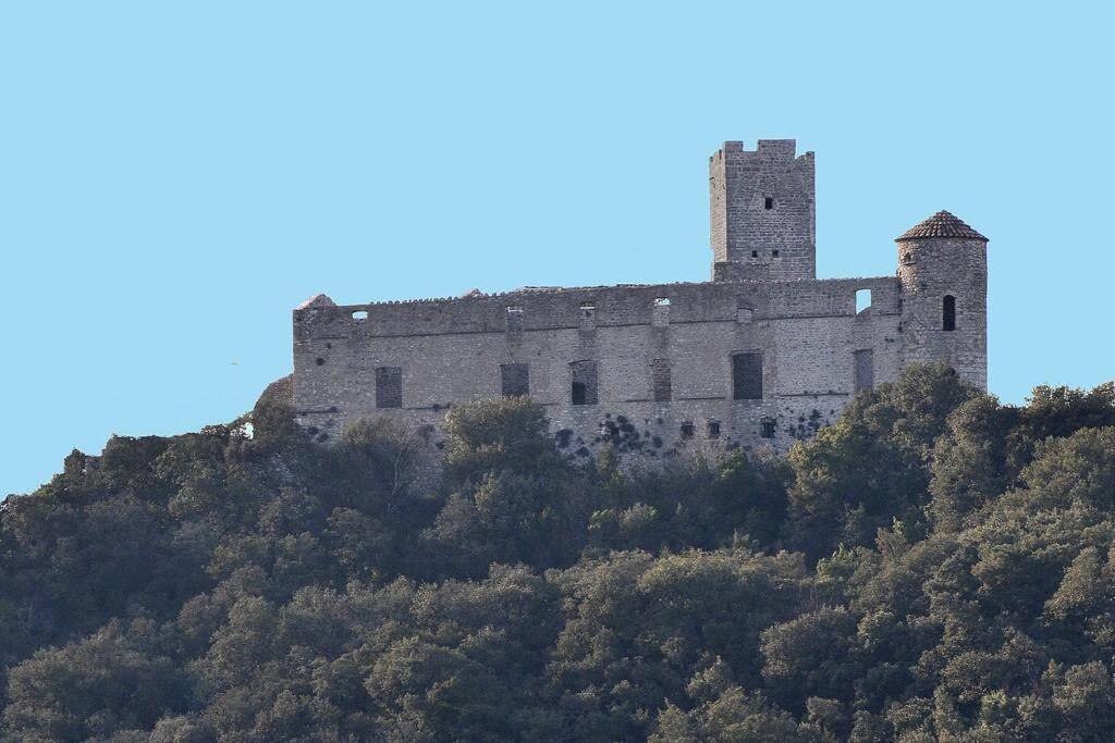 Anduze Gite Les Pins Au "Petit Clos Des Cigales" Massillargues-Attuech Eksteriør bilde