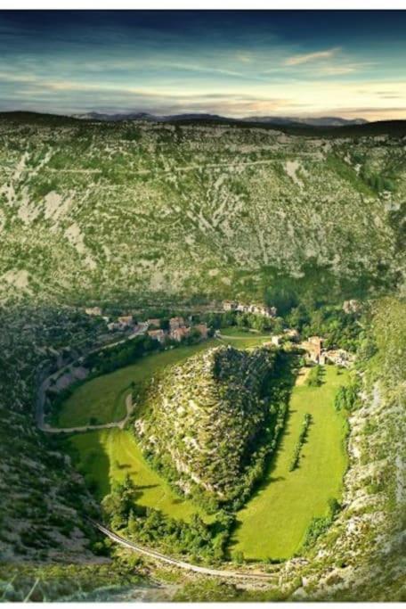 Anduze Gite Les Pins Au "Petit Clos Des Cigales" Massillargues-Attuech Eksteriør bilde